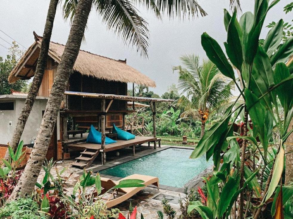 Apsari 2 Lodge
