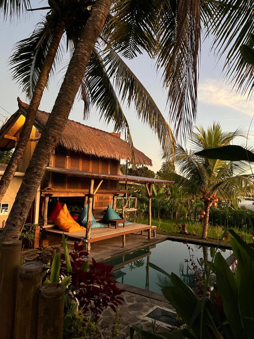 Apsari 2 Lodge Singaraja