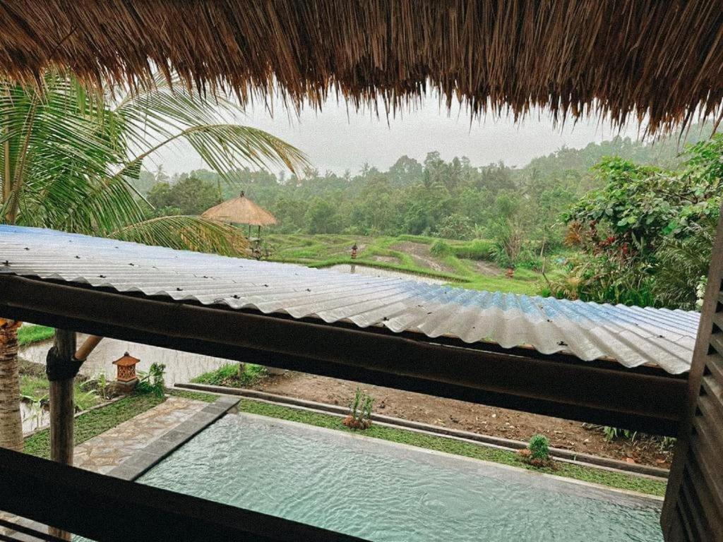 Apsari 2 Lodge Singaraja