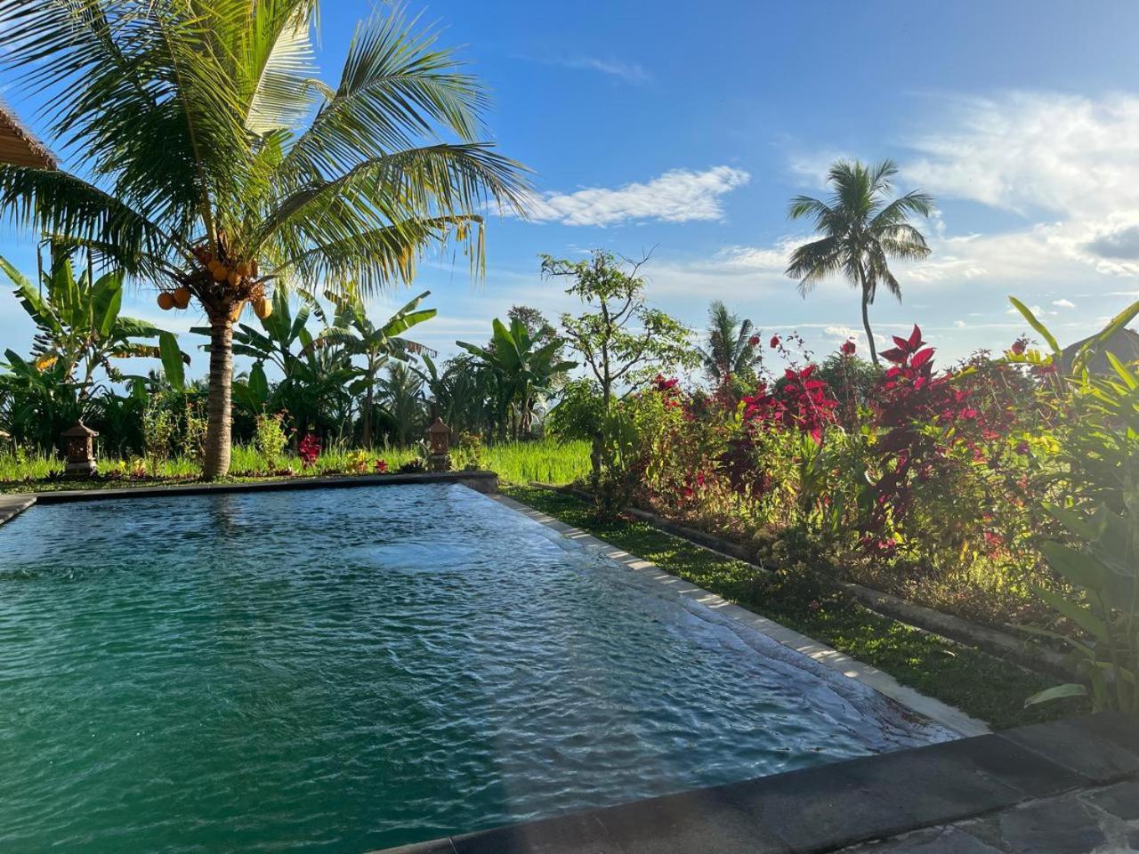 Apsari 2 Lodge Singaraja