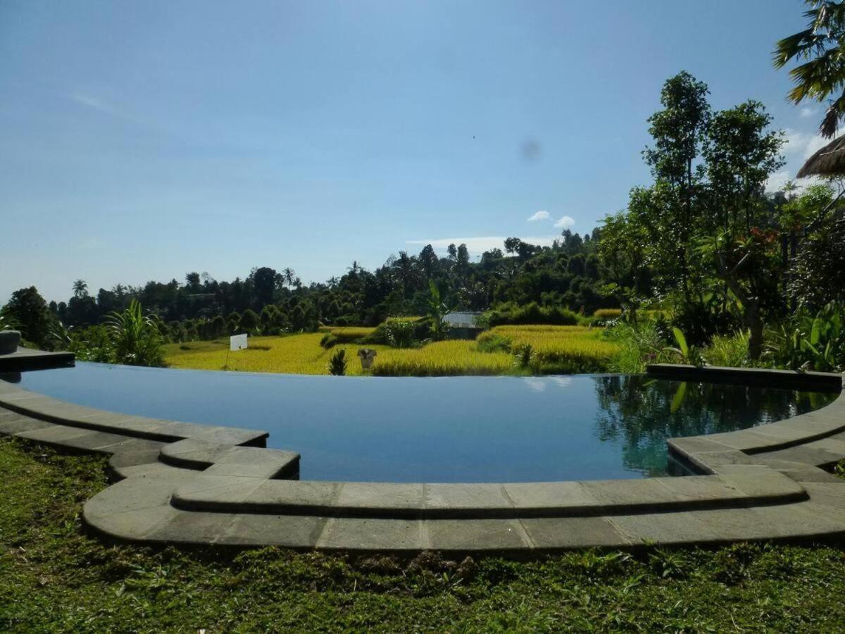 Lodge Apsari 2