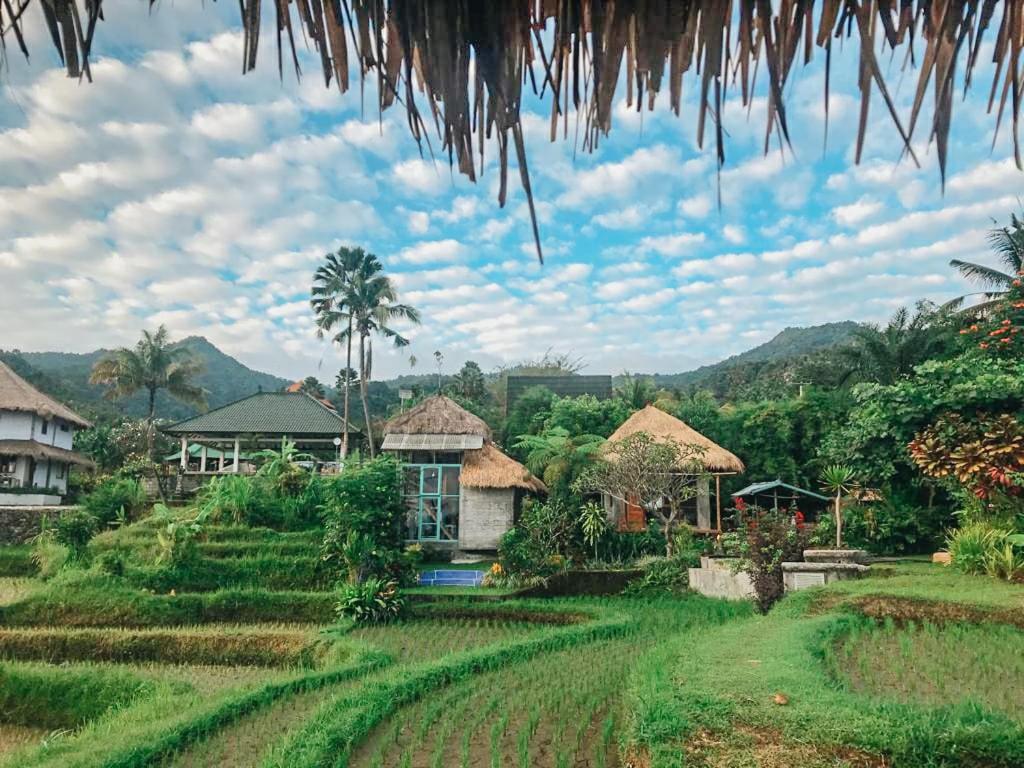 Apsari 2 Lodge Singaraja