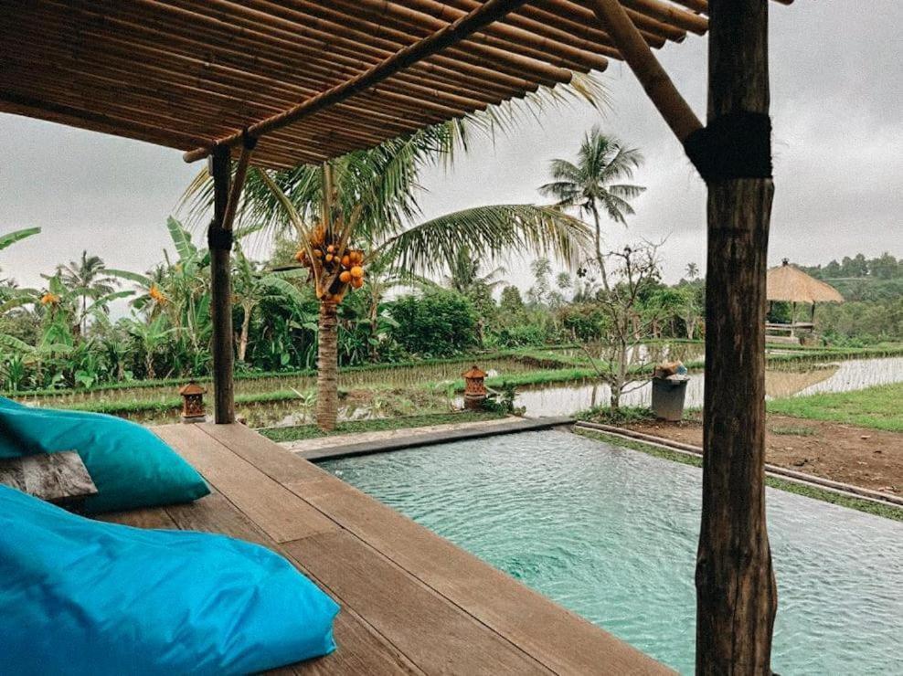 Apsari 2 Lodge Singaraja